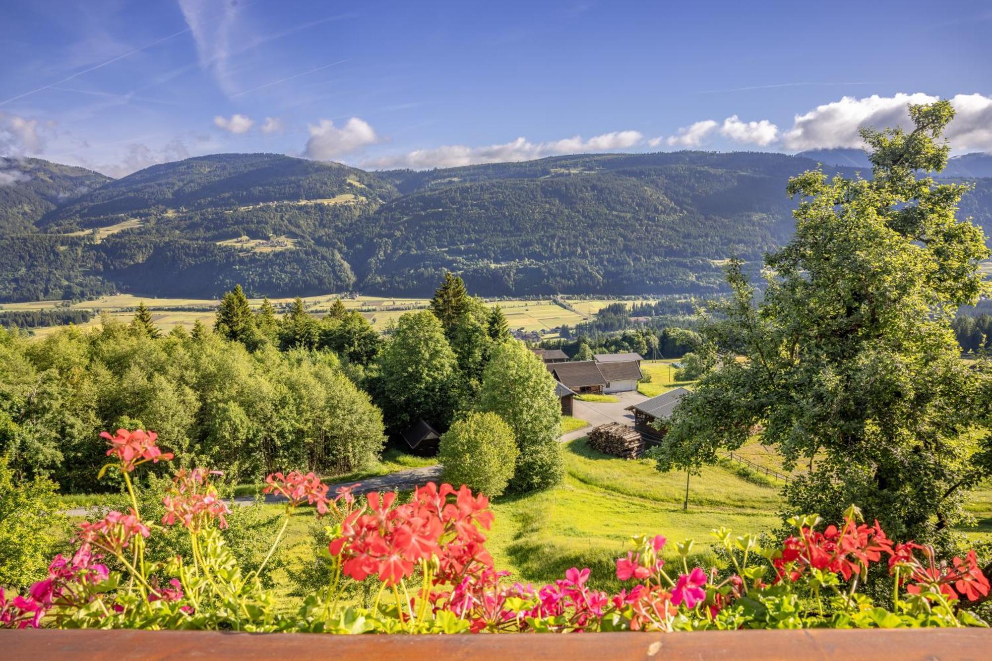 Haus Martin Apartment Schlanitzen ห้อง รูปภาพ