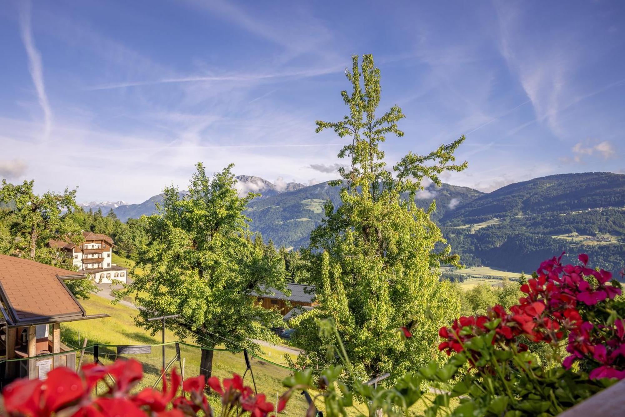 Haus Martin Apartment Schlanitzen ห้อง รูปภาพ